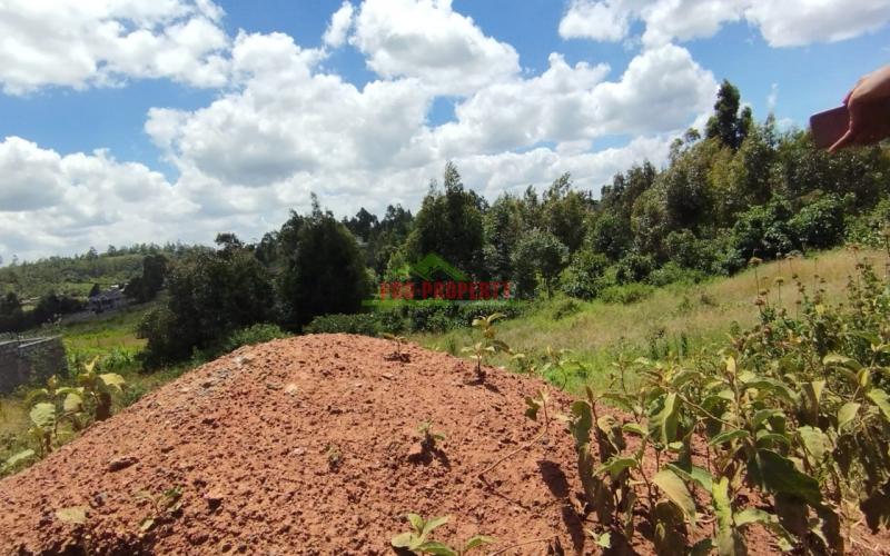 Prime 50 By 100 Residential Plots For Sale In Kikuyu Kamangu Lusigetti.