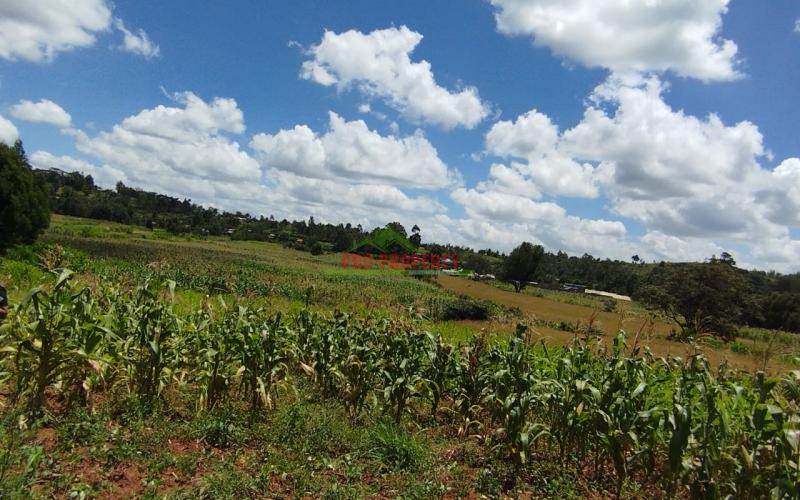 Prime 50*100 Ft Residential Plots For Sale In Kikuyu- Lusigetti