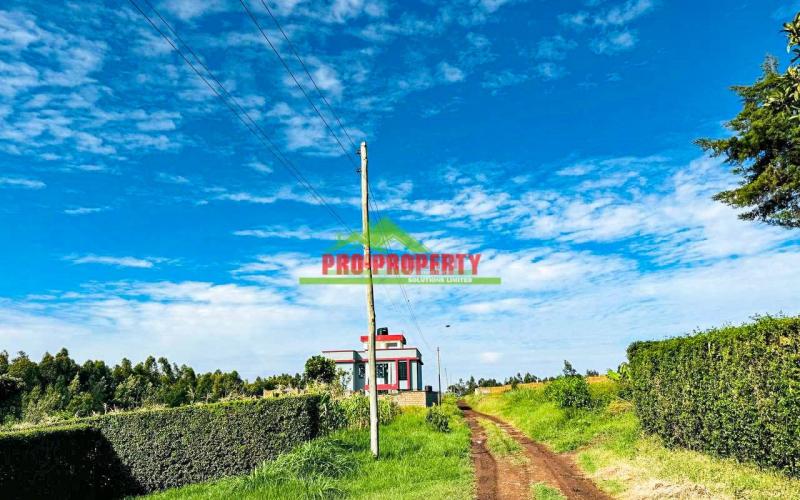 Prime 50 By 100ft Plots For Sale!!! In Kamangu