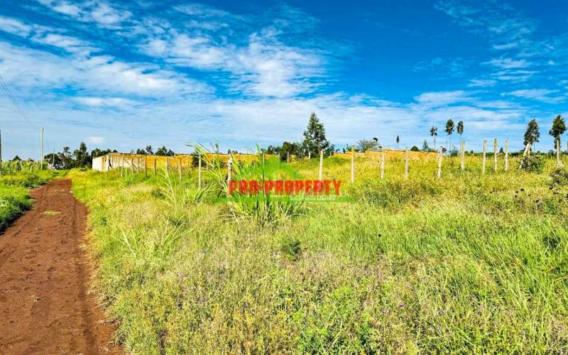Prime 50 By 100ft Plots For Sale!!! In Kamangu