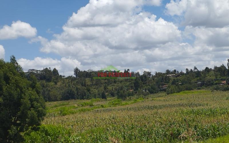 Prime 50 By 100 Residential Plots For Sale In Kikuyu Kamangu Lusigetti.