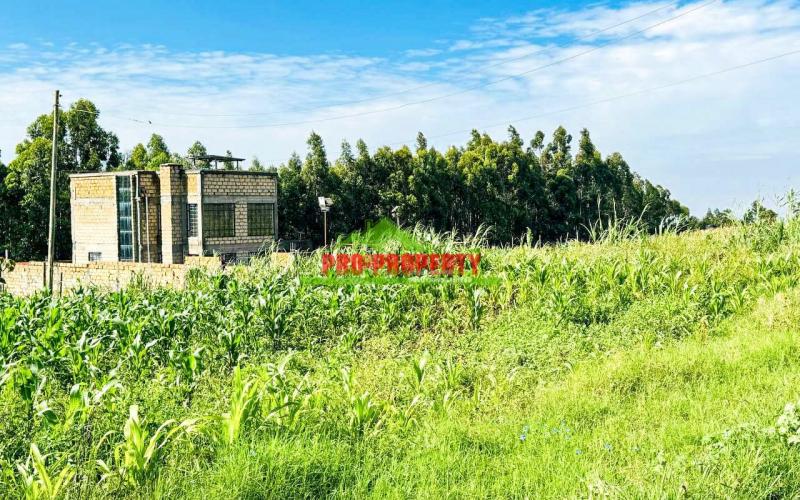 Prime Residential Plot For Sale In Kikuyu, Kamangu
