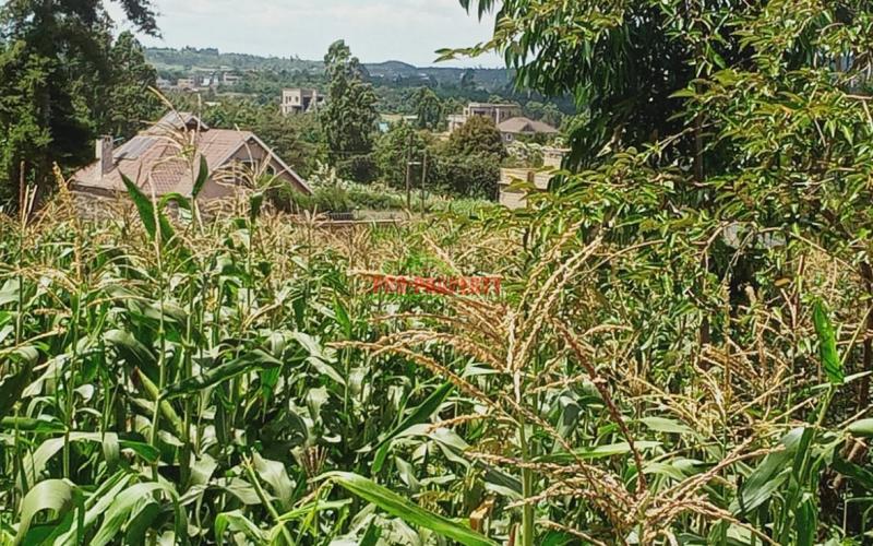 Prime 50 By 100 Ft Plots In Kikuyu, Gikambura