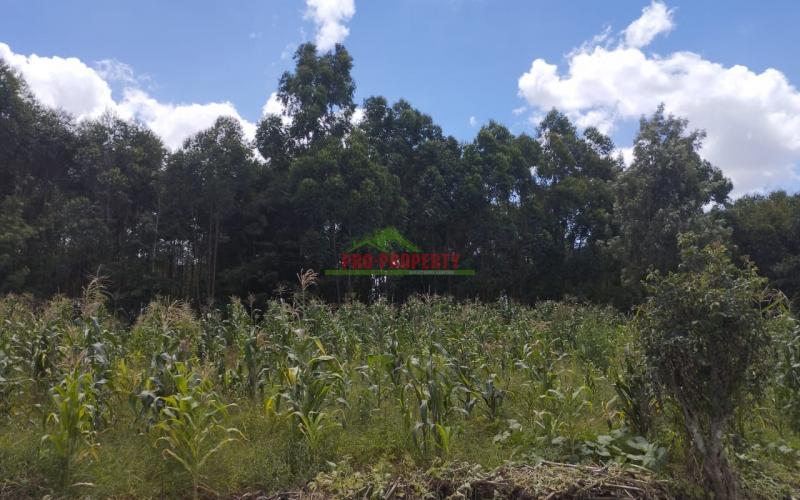 Prime 50*100 Ft Residential Plots For Sale In Kikuyu-gikambura