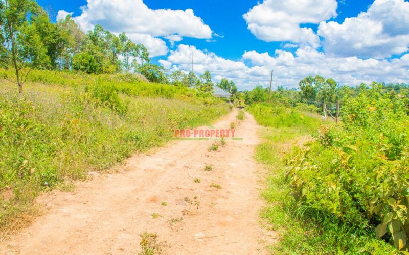 Prime 50 By 100 Ft Residential Plot  For Sale In Kikuyu,lusigetti