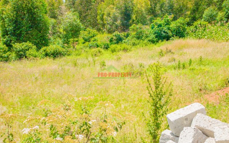 Prime  50 By 100 Residential  Plots In Kikuyu, Lusigetti