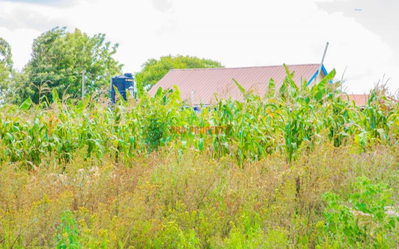 First Class Plots For Sale!!! In Lusingetti