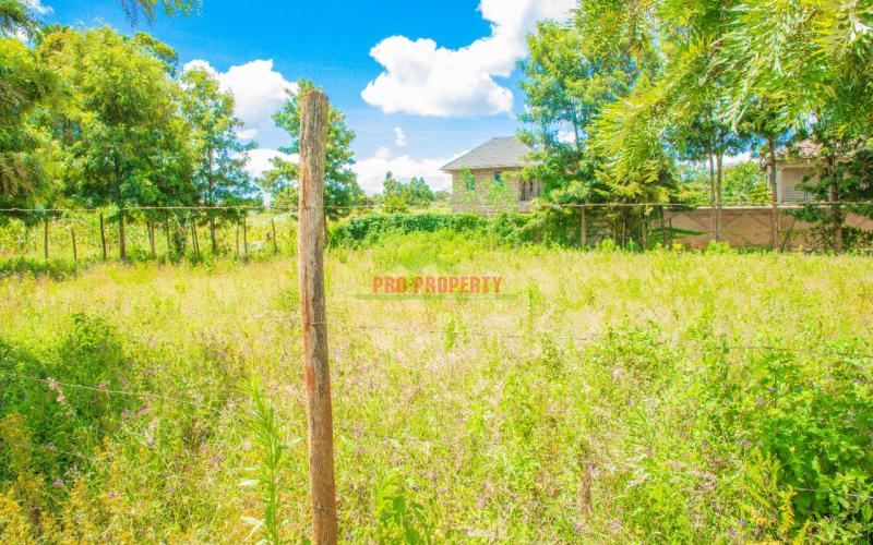 FIRST CLASS PLOTS FOR SALE!!! IN LUSINGETTI