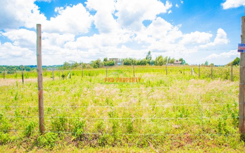 Prime 50 By 100ft Plots For Sale!!! In Lusingetti