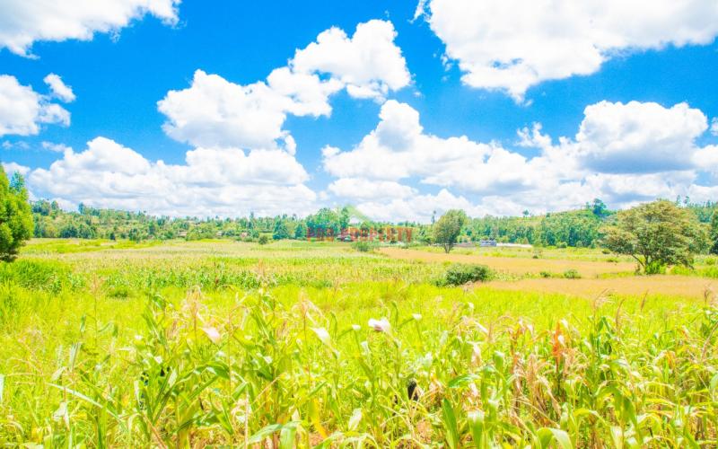 A1 50 By 100ft Plots For Sale In Lusingetti