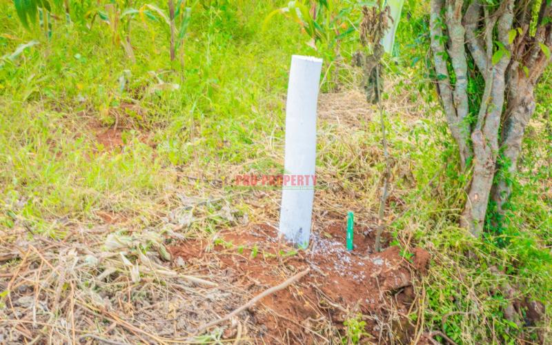 A1 Plots For Sale!!! In Gikambura.