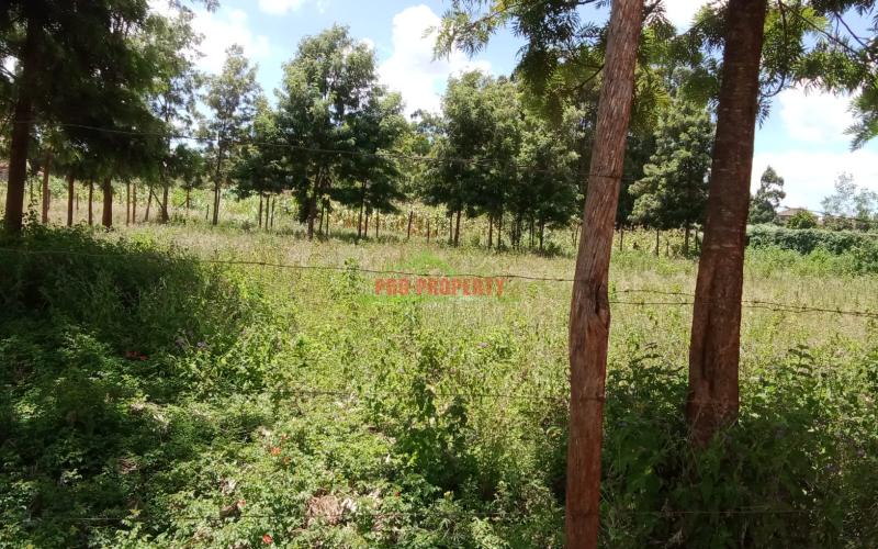 50by100ft Prime Residential Plots For Sale In Kikuyu,gikambura