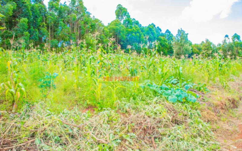 Prime 50*100ft Residential Plot For Sale In Kikuyu, Gikambura
