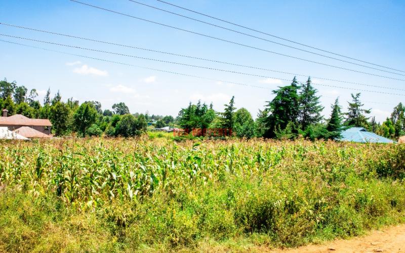 Prime 100 By 100 Residential Plot  For Sale In  Kikuyu ,kamangu