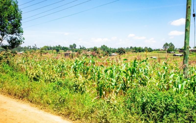 Prime 100 By 100 Residential Plot  For Sale In  Kikuyu ,kamangu