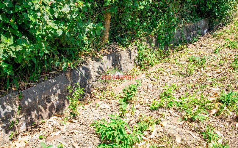 Prime  Residential Plot In  Controlled  Gated Estate  In Kikuyu,gikambura