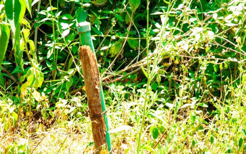 Prime  Residential Plot In  Controlled  Gated Estate  In Kikuyu,gikambura