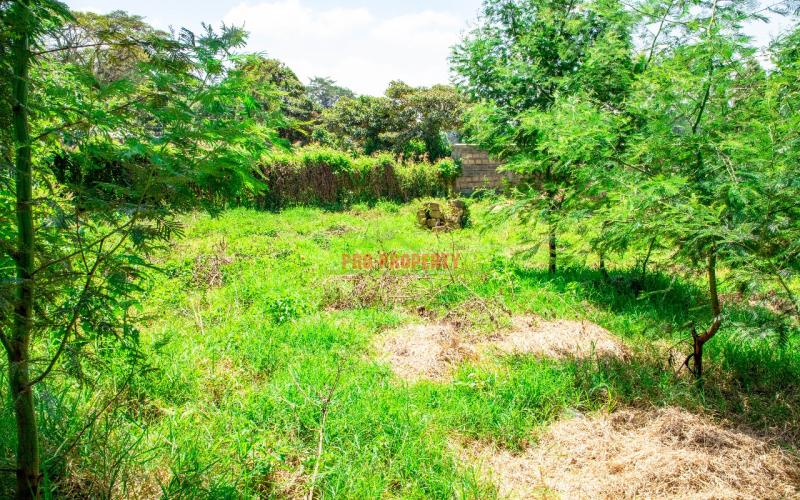 Prime 50 By 100 Gated Communities For Sale In Kikuyu Gikambura.