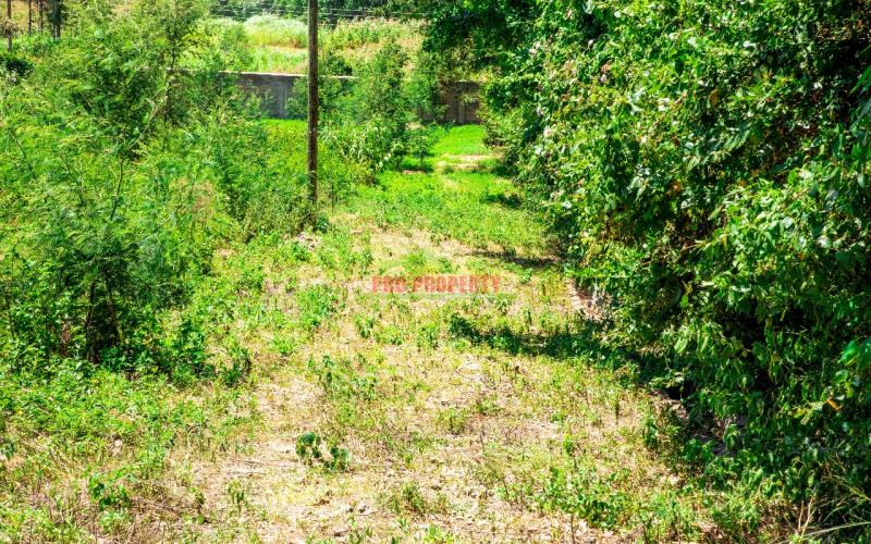 Prime  Residential Plot In  Controlled  Gated Estate  In Kikuyu,gikambura