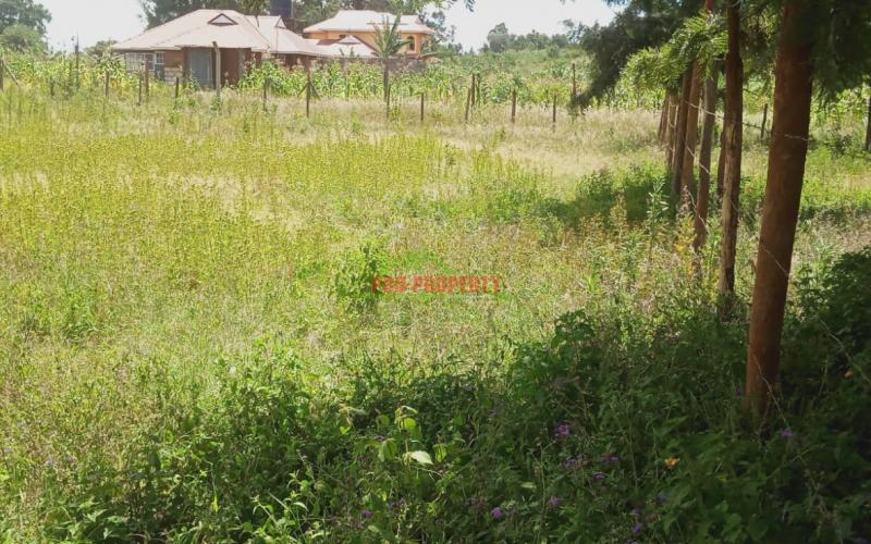 A1 100 By 100ft Plots For Sale!! In Gikambura