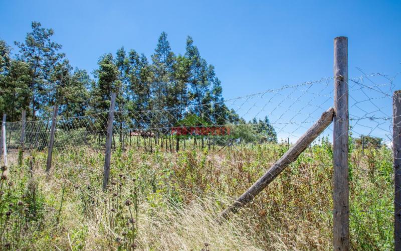 Prime 50 By 100ft Residential Plot For Sale In Kikuyu, Kamangu