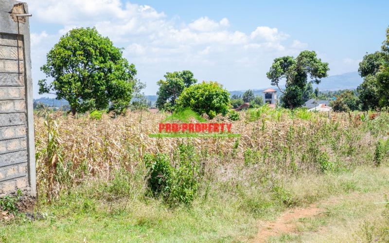 Prime 50 By 100 Residential Plot For Sale In Kikuyu Kamangu.
