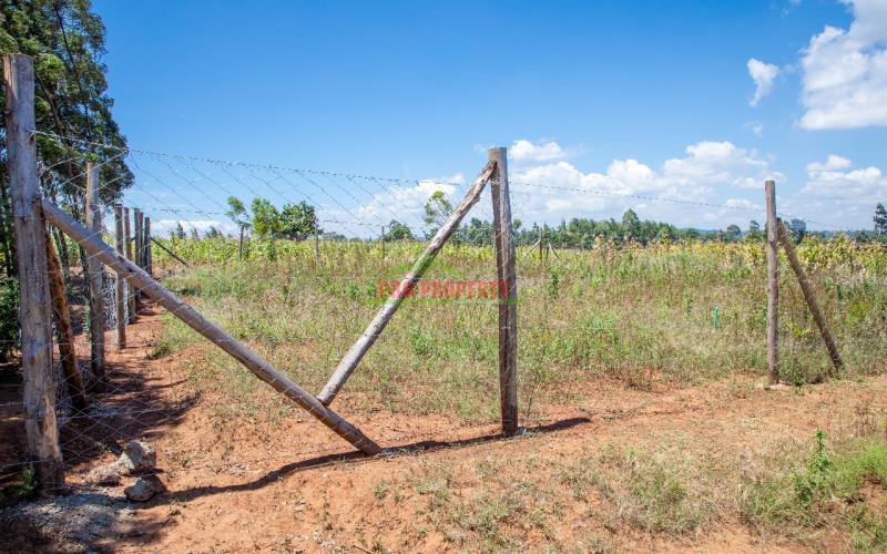 Prime 50 By 100 Residential Plot For Sale In Kikuyu,kamangu Are