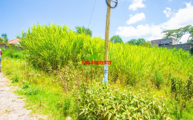Prime 50 By 100 Ft Commercial Plot For Sale In Kikuyu-thogoto