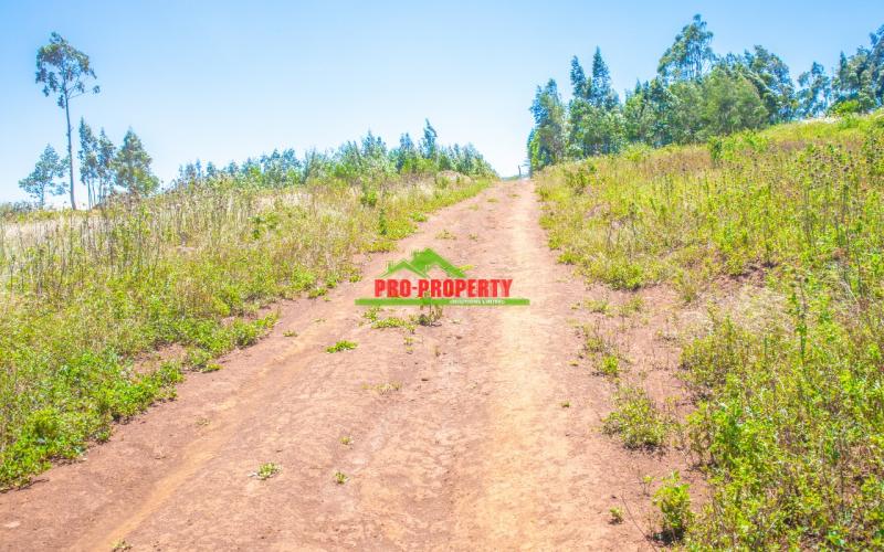 Prime 50 By 100 Ft Residential Plot For Sale In Kikuyu , Kamangu