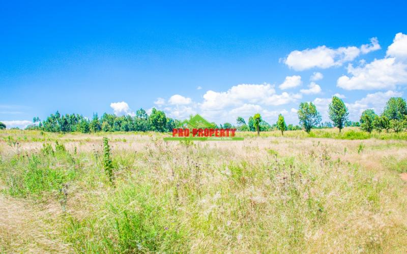 Prime Residential Plot For Sale In Kikuyu, Kamangu