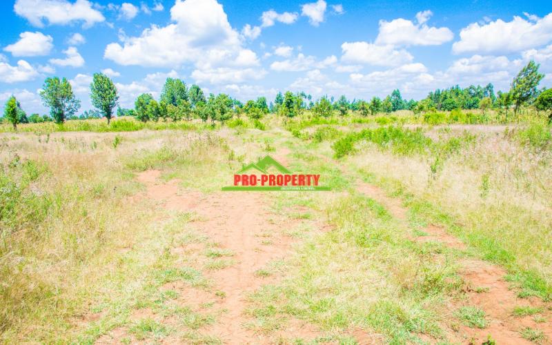 Prime Residential Plot For Sale In Kikuyu, Kamangu