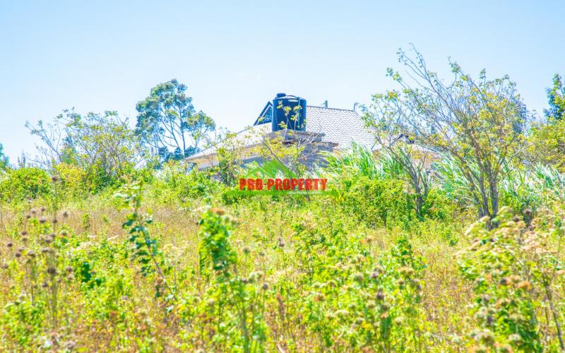 Prime 50 By 100 Ft Residential Plots For Sale In Kikuyu-kamangu