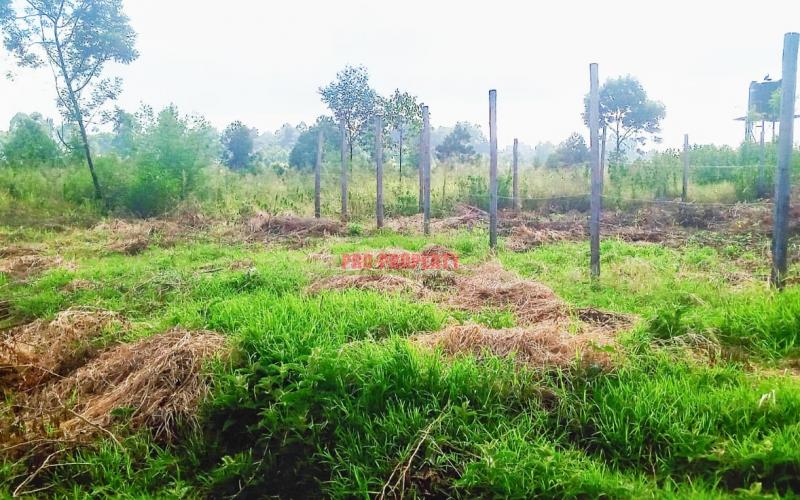 Prime 50 By 100 Ft Residential Plot In Kikuyu, Ondiri