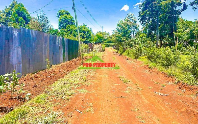 RESIDENTIAL 50 BY 100 PLOTS FOR SALE IN KIKUYU MAI IHII.