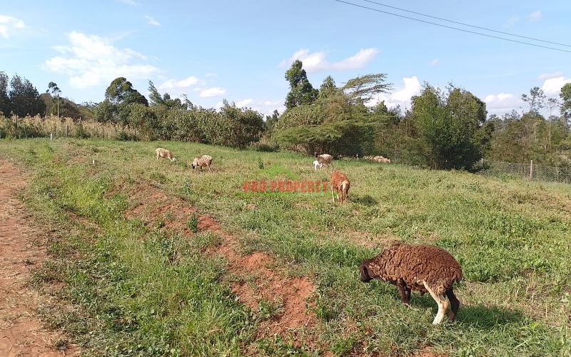Plots For Sale In Kamangu, Kikuyu