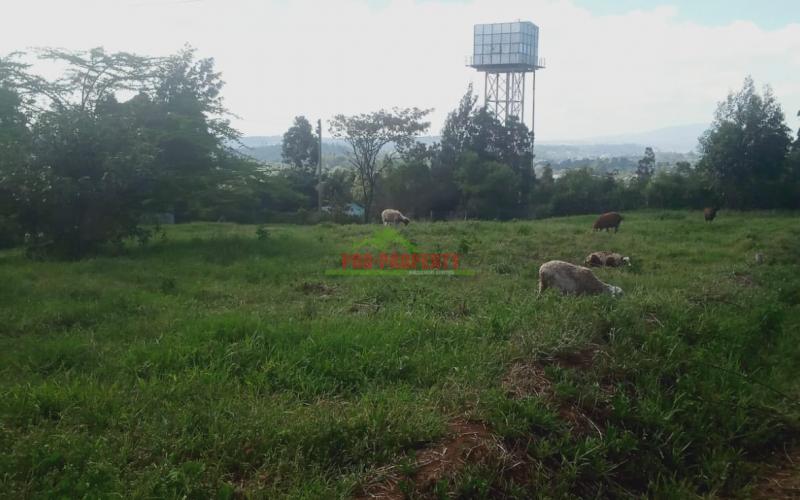 Prime 50 By 100 Ft Residential Plots For Sale In Kikuyu Kamangu