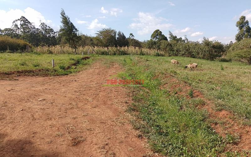 Prime Residential Plot For Sale In Kikuyu, Kamangu