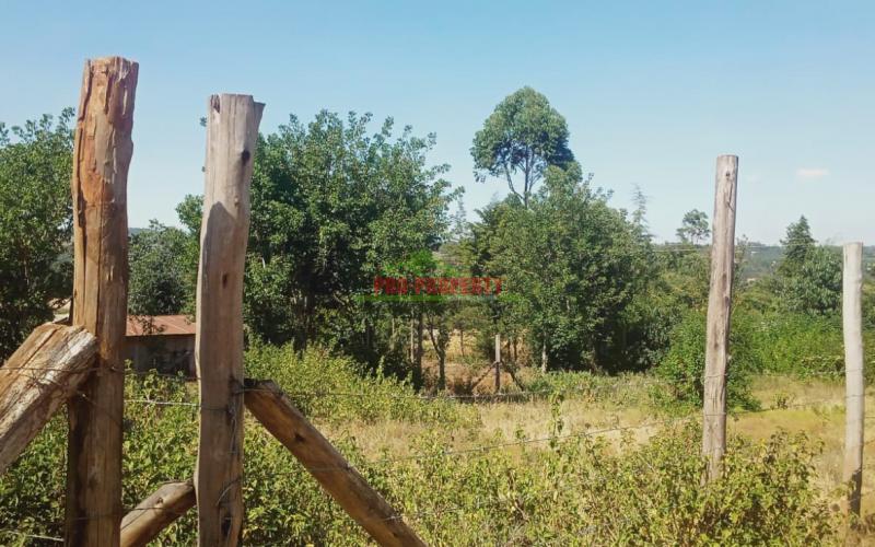 Prime Residential Plot For Sale In Kikuyu, Migumoini