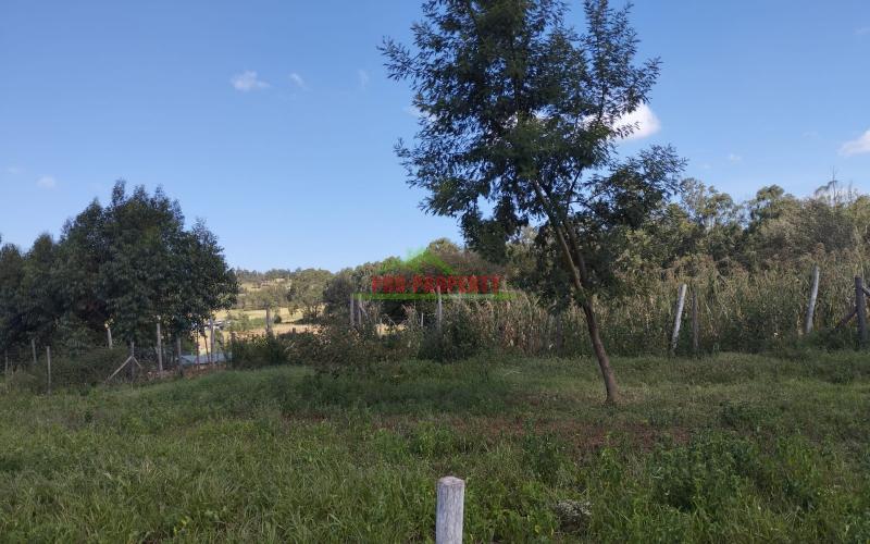 Prime 50 By 100 Residential Plot For Sale In Kikuyu Kamangu.