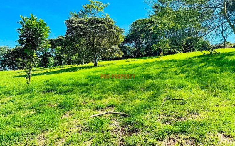 Prime Residential Plots For Sale In Ngong (tulivu Estate.)