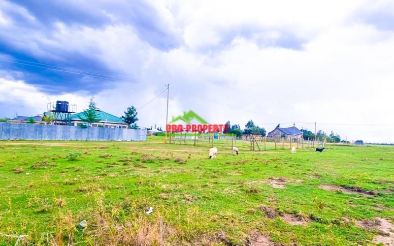 Prime 50*100 Residential Plots For Sale In Nanyuki - Baraka Area