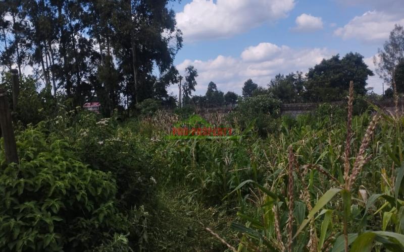 Prime 100by100 Plot For Sale In Sigona-kikuyu
