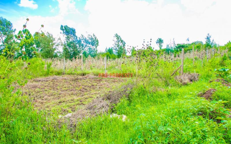 Prime Residential Plot For Sale In Kikuyu, Gikambura.