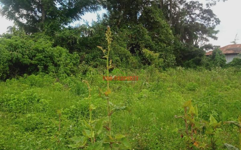 Prime Residential Plot For Sale In Kikuyu, Ondiri
