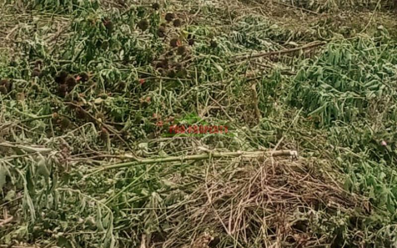 Prime Commercial Plot For Sale In Sigona Along Waiyaki Way