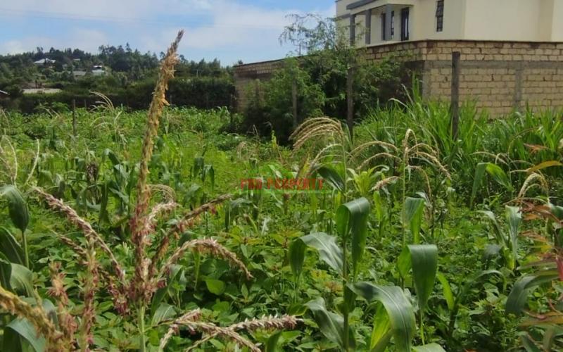 A Prime 60by100 Residential Plot