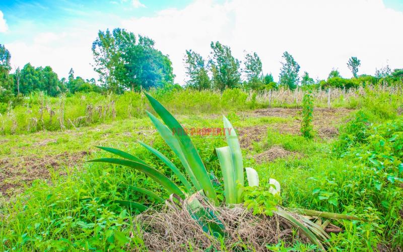 Prime Plots For Sale!!! In Gikambura