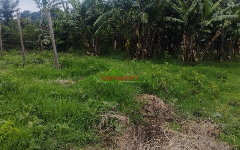 Prime 50 By 100 Ft Residential Plot For Sale In Kikuyu-ondire