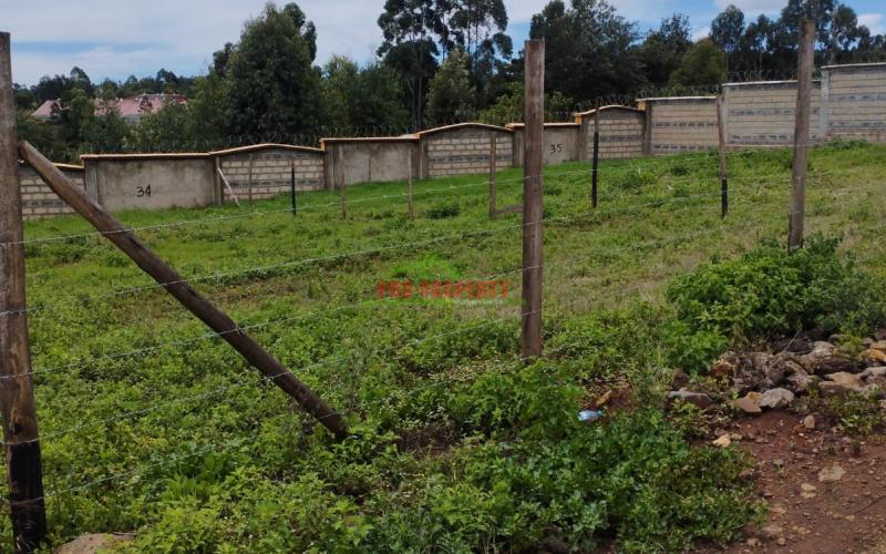 Prime 50*100ft gated concept plots for sale in Rosegate estate phase 3.