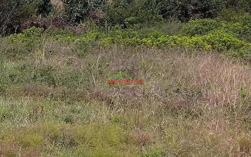 Prime 50 by 100 ft residential plot for sale in Kikuyu-migumuuini